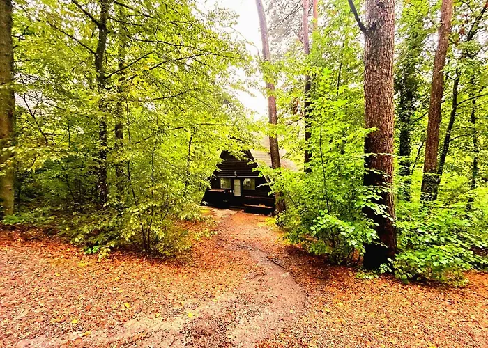 Boshuisje Viva L\'Ardenne - Chalet 122